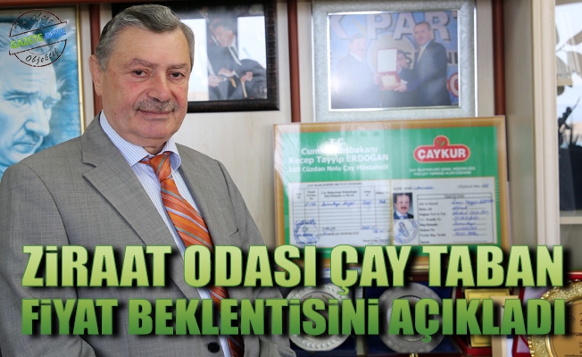 Rize Ziraat Odası Başkanı Nevzat Paliç 2018 yaş çay taban fiyat beklentilerini açıkladı