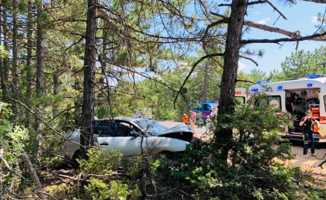 Yoldan çıkan otomobil ağaca çarptı, araçtaki çift yaralandı