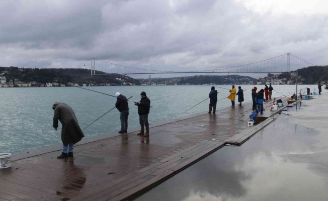 İstanbul’un hasta balıklarını görüntüledi