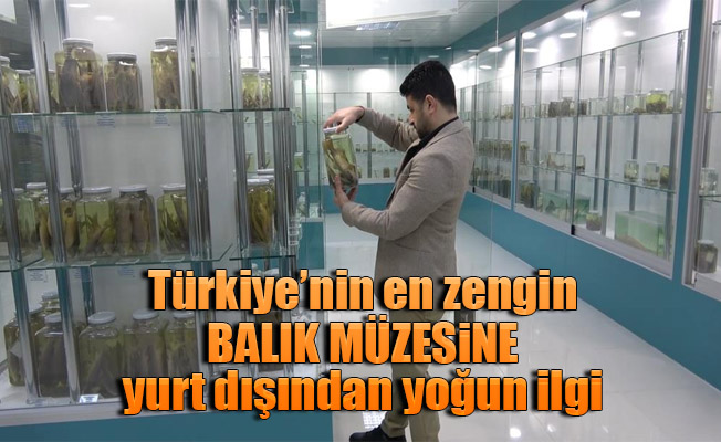 Türkiye’nin en zengin balık müzesine yurt dışından yoğun ilgi