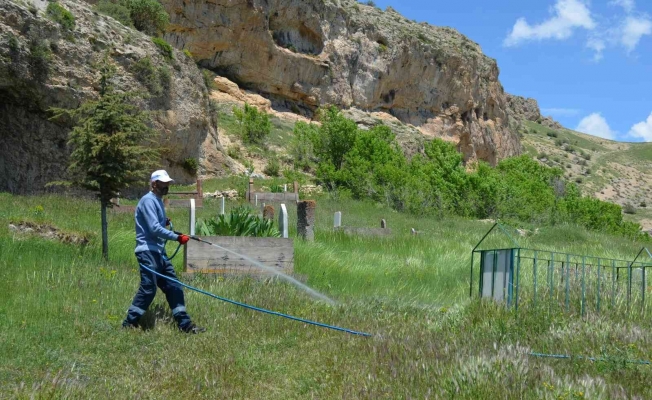 Adilcevaz Belediyesi ekipleri mezarlıklarda ilaçlama yaptı
