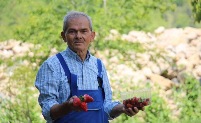 Emekli madenci hayatını tarıma adadı; şimdi siparişe yetişemiyor