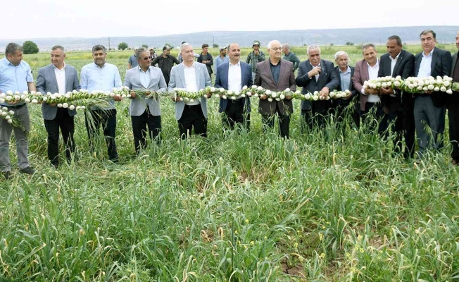 Milletvekili Erdoğan Çiftçiler Gününü tarlada kutladı