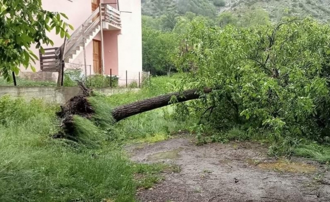 Artvin’de şiddetli rüzgar ağaçları devirdi, çatıları uçurdu