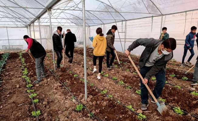 Mardin’de meslek lisesinde uygulamalı tarım eğitimi