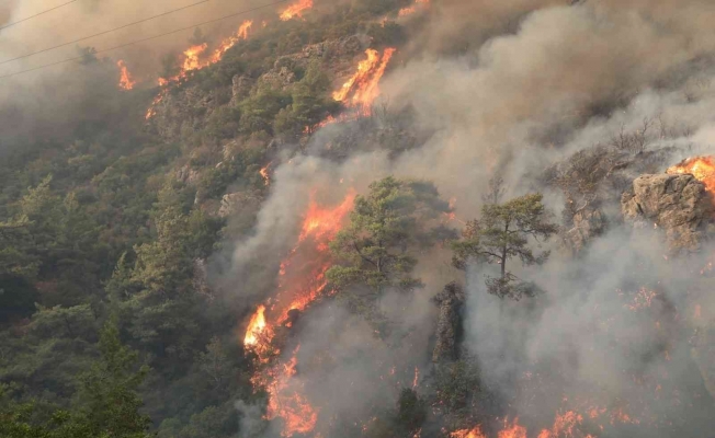 Orman yangınlarına karşı mücadele seferberliği