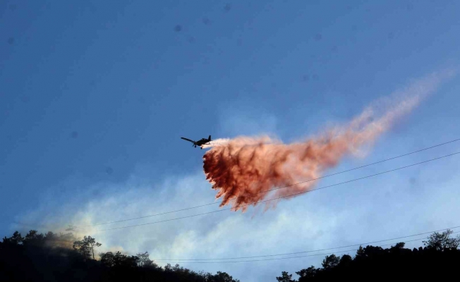 Antalya’daki orman yangını kontrol altına alındı