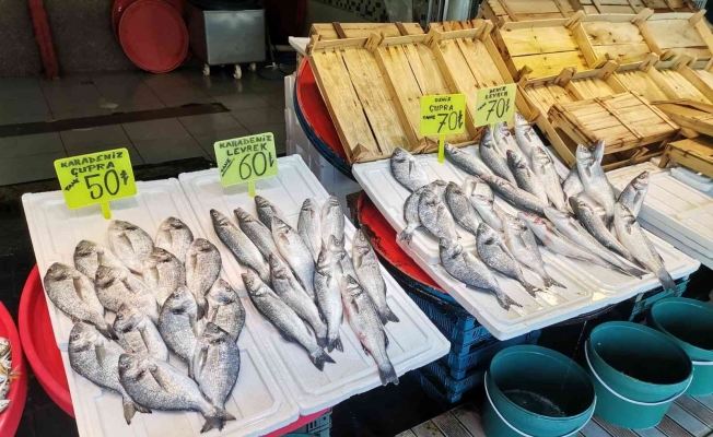Bandırma balık pazarında durgunluk yaşanıyor