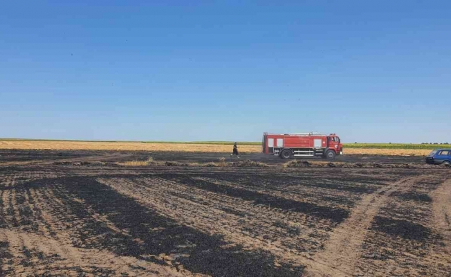 Tekirdağ’da 130 dönüm arazi kül oldu