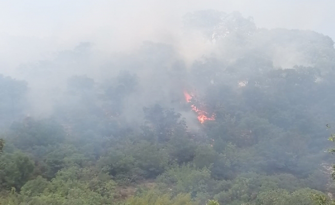 Balıkesir’deki orman yangınına anında müdahale