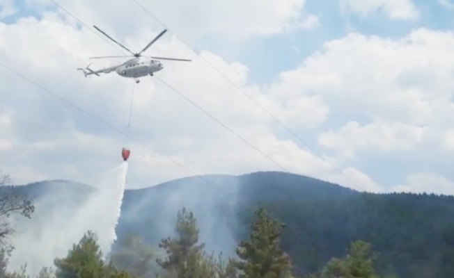 Tavşanlı’da orman yangını helikopter desteği ile kısa sürede söndürüldü