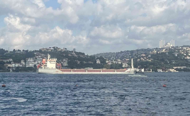 Ukrayna’dan gelen mısır yüklü ’Polarnet’ gemisi İstanbul Boğazı’ndan geçti