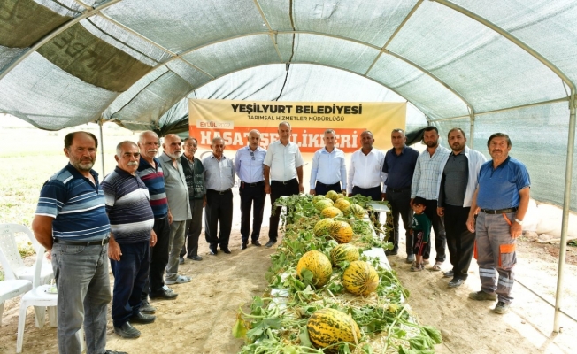 Başkan Çınar,  kavun hasadına katıldı