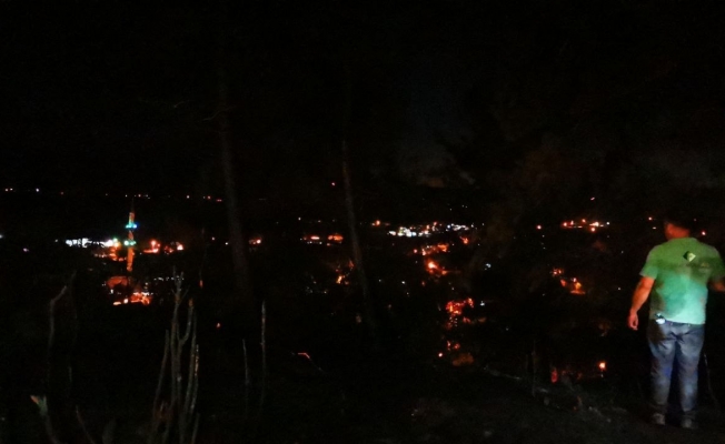 Ula’daki orman yangını kontrol altına alındı
