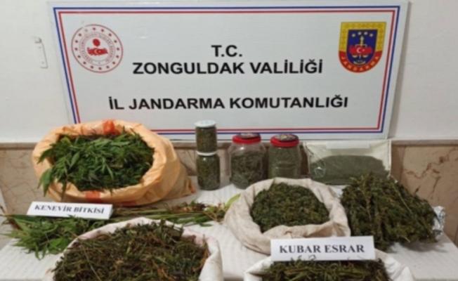 Zonguldak’ta uyuşturucu operasyonunda 1 tutuklama