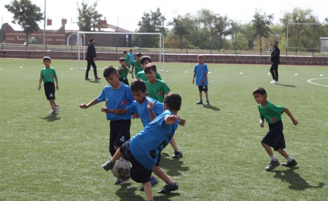 Şehit Mesut Ardıç adına futbol turnuvası