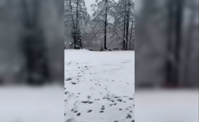 Borçka Karagöl’e mevsimin ilk karı yağdı