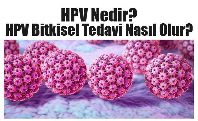 HPV Nedir? HPV Bitkisel Tedavi Nasıl Olur?