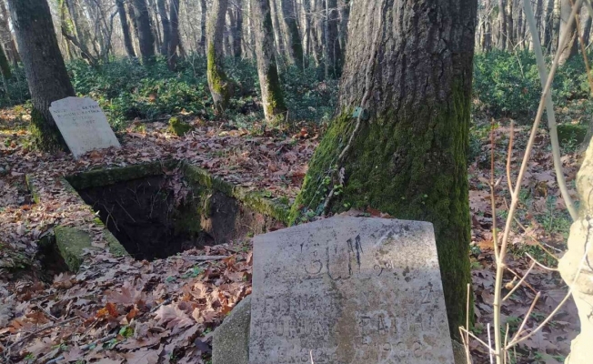 Çatalca’da eski köy mezarlığı defineciler tarafından talan edildi