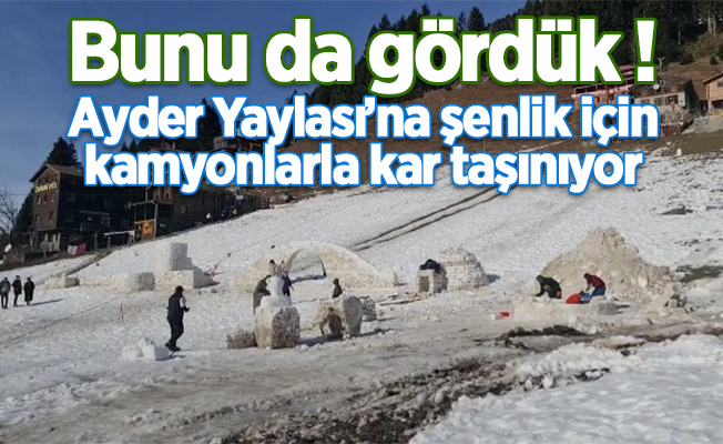 Ocak ayında Ayder Yaylasına şenlik için kamyonlarla kar taşınıyor