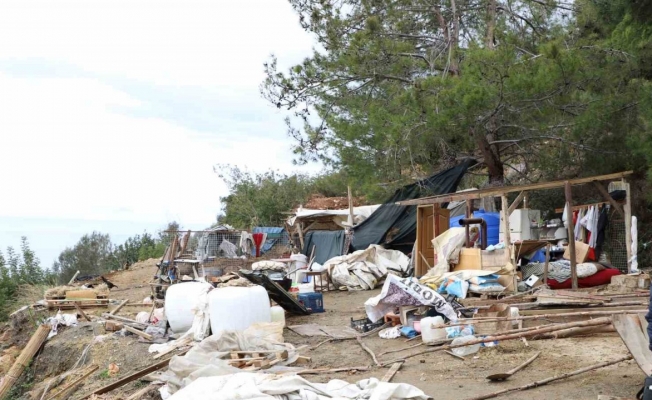 Alanya’da hazine arazisini işgal eden baraka boşaltıldı