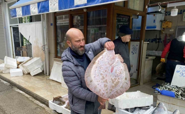 Karadeniz’de avlanan 8 kiloluk kalkan balığı 5 bin liraya satıldı