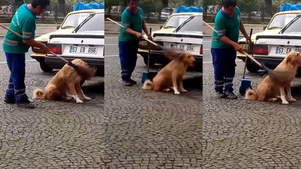 Temizlik personeli süpürgeyle sokak köpeğinin sırtını kaşıdı o anlar cep telefonuna yansıdı